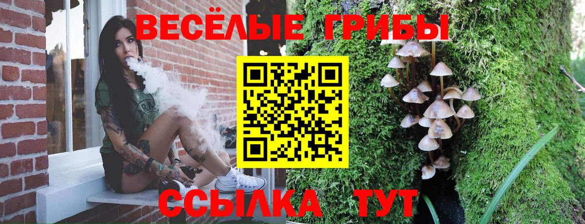 Псилоцибиновые грибы мухоморы Качканар