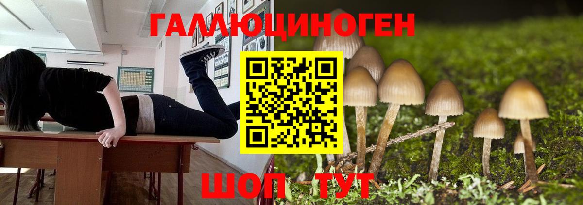 Псилоцибиновые грибы Cubensis  Вход с VPN  Качканар 
